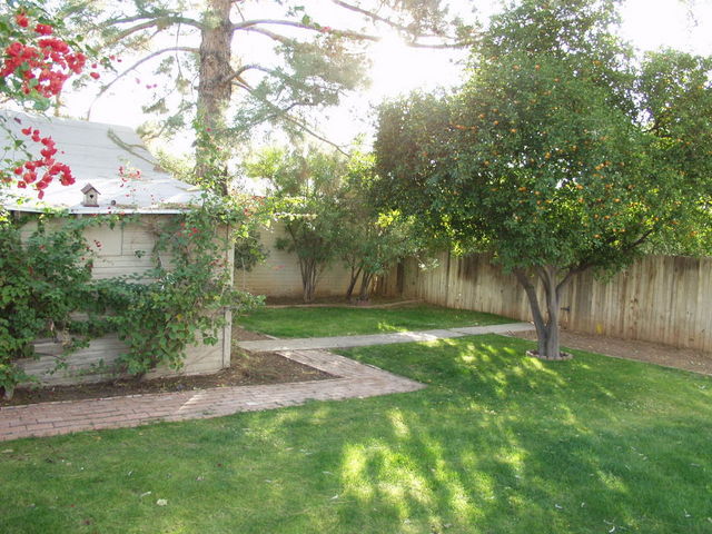 Plenty of room.  Ready for a garden, toys, etc.