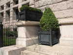 Planter Boxes, Newberry Library, Chicago
