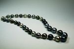 Multi-Color Tahitian Pearl Necklace 11-12mm