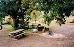The grill area also makes a great wedding ceremony location